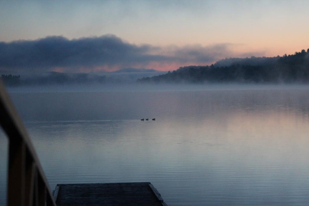 Oakview Lodge & Marina Algonquin Highlands Ngoại thất bức ảnh